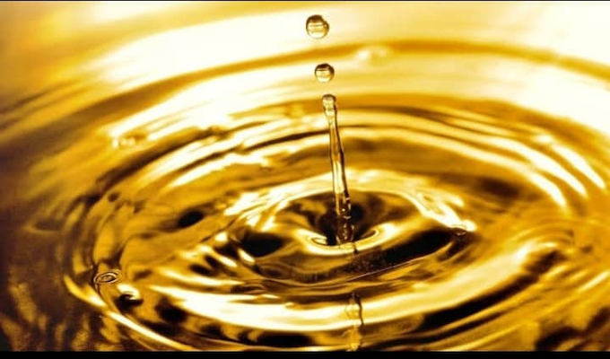 Bonny Light Crude Oil: A Prized Resource in the Global Market-image